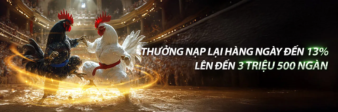 Đá gà trực tuyến Tin79 với các trận đấu gà đỉnh cao